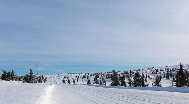Winter Road in Norway - Фото, изображение