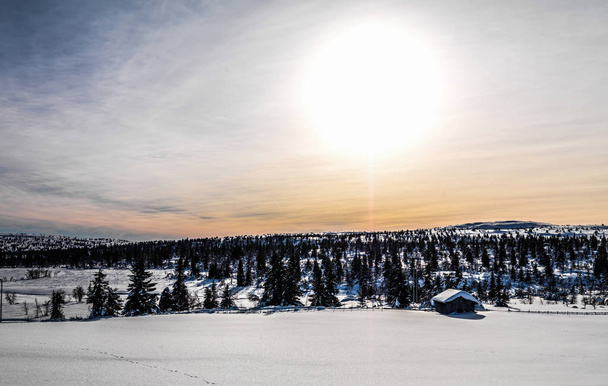 Winter Sunset in Norway - Zdjęcie, obraz