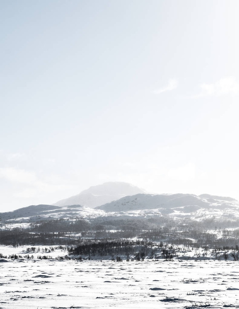 Zima w Norwegii - Zdjęcie, obraz