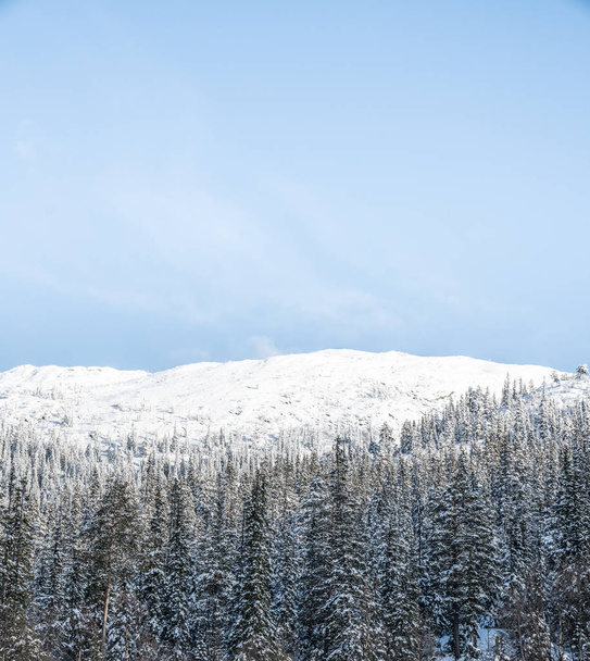 Winter in Norway - Foto, Imagem
