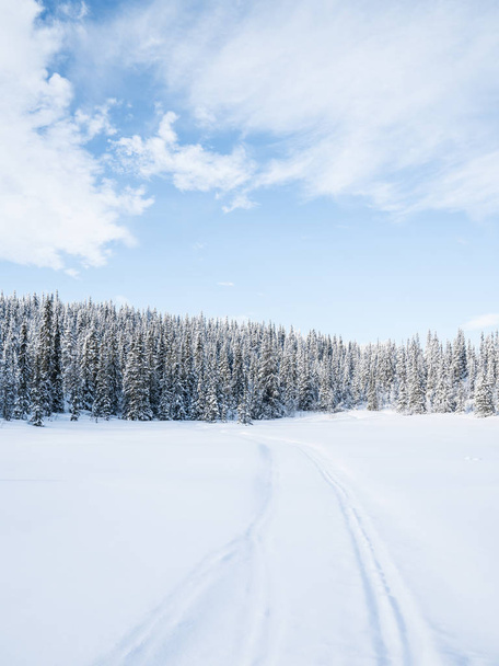 Winter in Norway - Фото, изображение