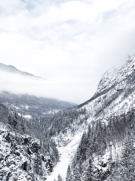 Winter in East Norway - Fotó, kép
