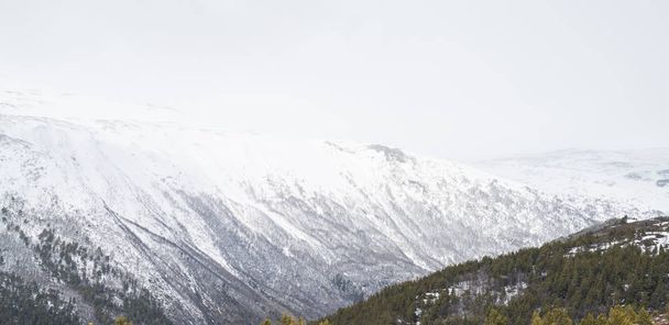 Vuoristoalue Galdhopiggenin lähellä
 - Valokuva, kuva