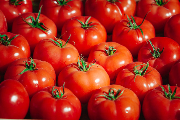 Group of fresh tomatoes - Fotó, kép