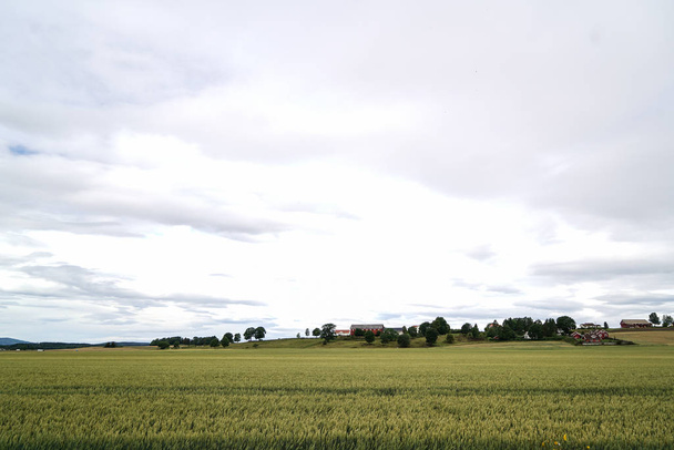 Agriculture in Norway - Foto, imagen