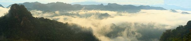 Mist in het regenwoud - Foto, afbeelding