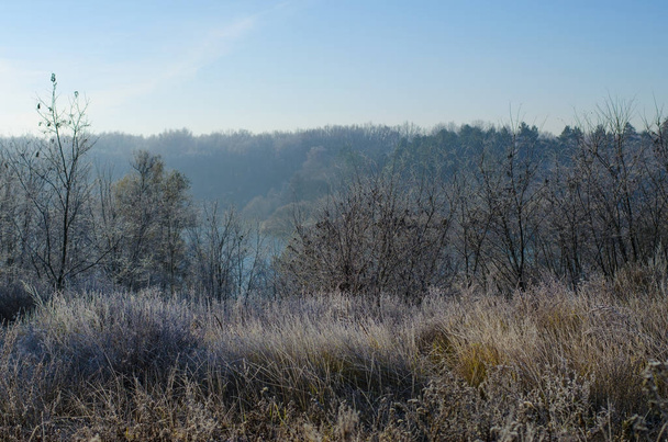 paisagem de inverno no início da manhã
 - Foto, Imagem
