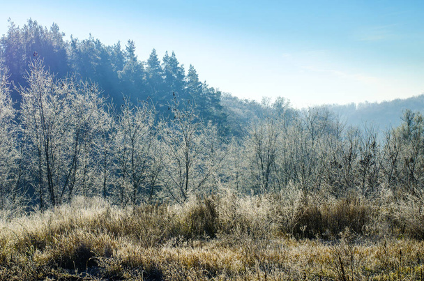 Sabahın erken saatlerinde kış manzarası - Fotoğraf, Görsel