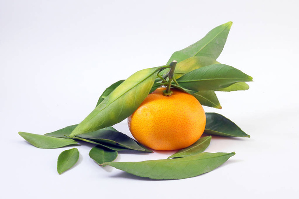 Yellow Tangerine Mandarin Orange - Фото, зображення
