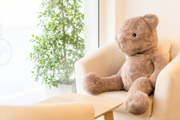 bear doll sit on sofa - Фото, изображение