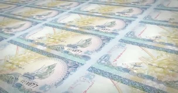 Banknoty z pięćdziesięciu malediwskim rufiyaa Malediwów, pieniądze, pętla - Materiał filmowy, wideo