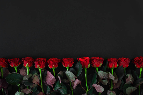 Punaisia ruusuja mustalla pohjalla. Yläkuva
 - Valokuva, kuva