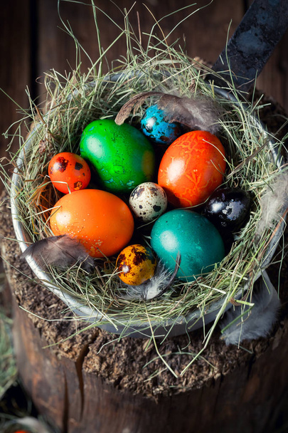 Colourfull Easter eggs on old wooden stump - Foto, afbeelding
