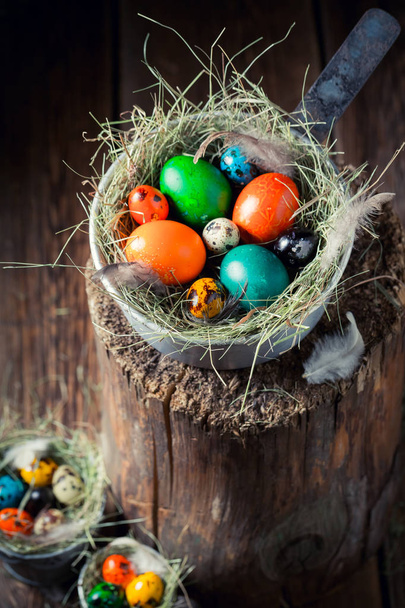 Fresh colorful Easter eggs in the nest with hay - Фото, зображення