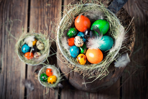 Colorful eggs for Easter with hay and feathers in nest - Fotografie, Obrázek