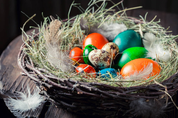 Крупним планом барвисті яйця на Великдень з сіном і пір'ям
 - Фото, зображення