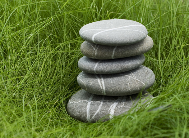 Камни в траве - Фото, изображение