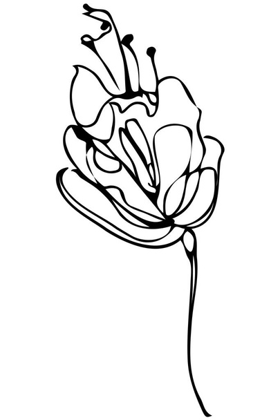  vector sketch abstract flower - Vetor, Imagem