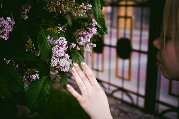 female fingers hold white butterflies on flowers of lilac and green leaves - Valokuva, kuva