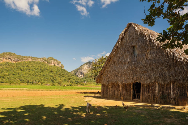 Dryer for tobacco in the valley of Vinales (Cuba) - Foto, afbeelding