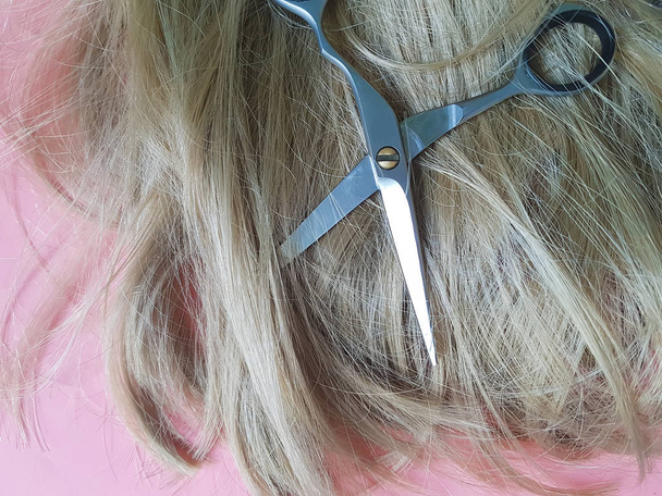 ciseaux à cheveux fond, coupé, pointes fourchues
 - Photo, image