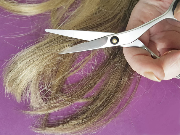 ciseaux à cheveux fond, coupé, pointes fourchues
 - Photo, image