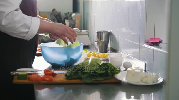 Mies kokki valmistelee salaattia kaupallisessa keittiössä
 - Materiaali, video