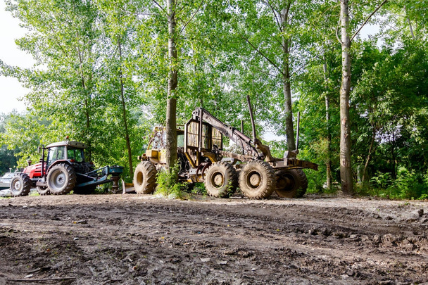 Maschinen zur Entwaldung werden im Wald geparkt - Foto, Bild