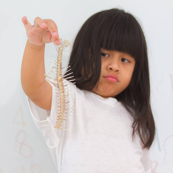 fishbone in hand little girl on wall background - Photo, Image