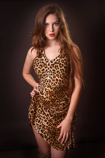 Mode portret van jonge brunette meisje in een Luipaard-jurk - Foto, afbeelding