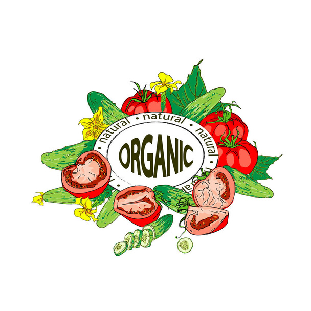 Kompozisyon domates ve salatalık, bütün ve parçalar. Organik ürün - Vektör, Görsel