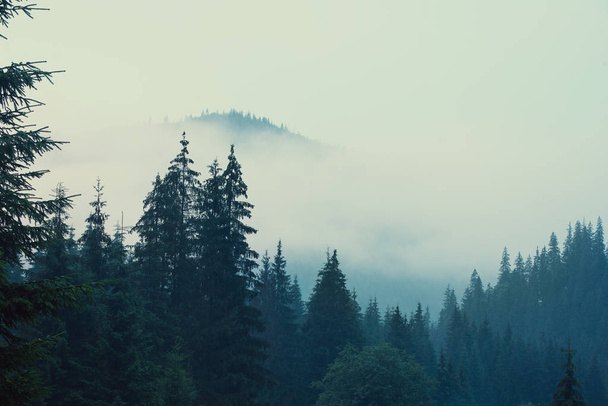 Misty mountain landscape - Foto, afbeelding
