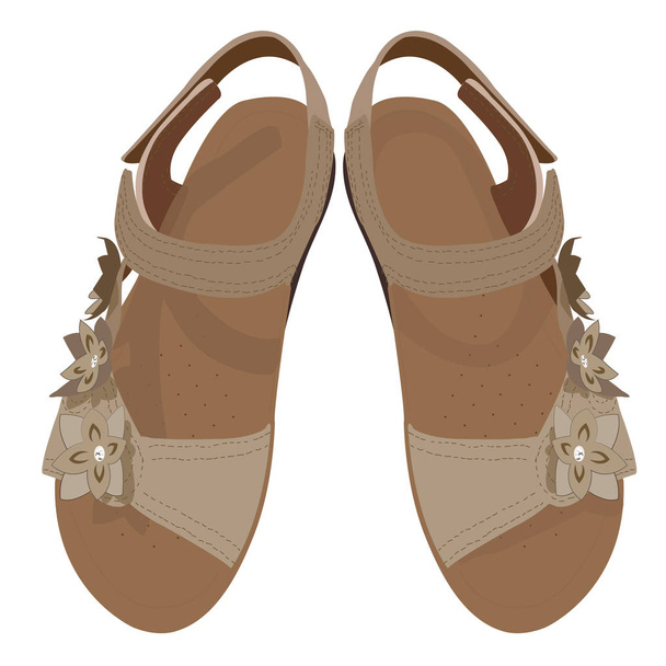 Vector Light Brown Sandals, View from Above - Vector, Image