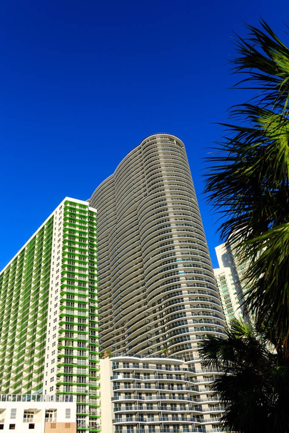 Nykyaikaiset hotellitornit palmujen takana
 - Valokuva, kuva