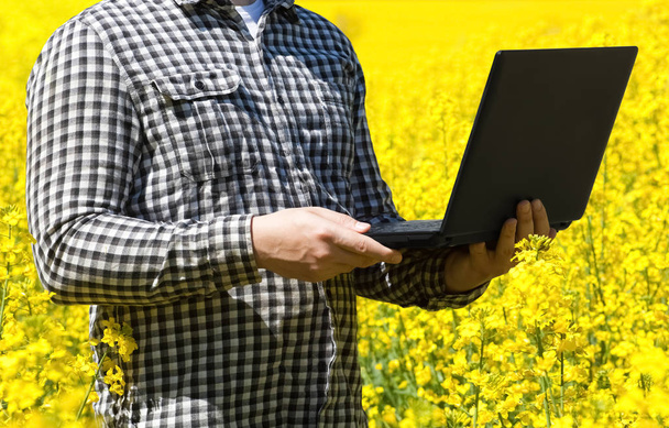 Hombre agricultor - hombre de negocios sosteniendo una computadora portátil en un campo de canola de floración amarilla, primer plano. Agricultura el cultivo de cultivos
. - Foto, imagen