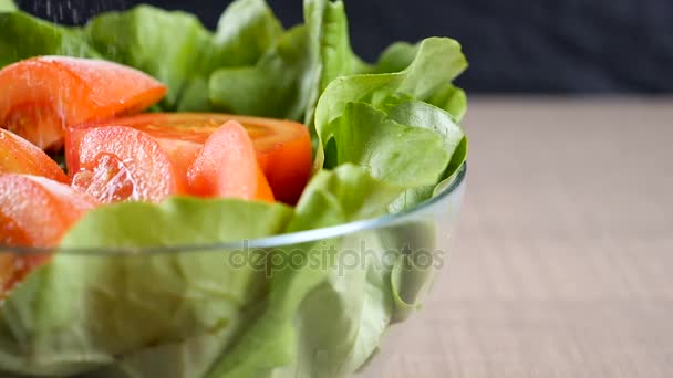 Zeitlupe auf Salatschüssel mit Tomatenscheiben wird gesalzen - Filmmaterial, Video