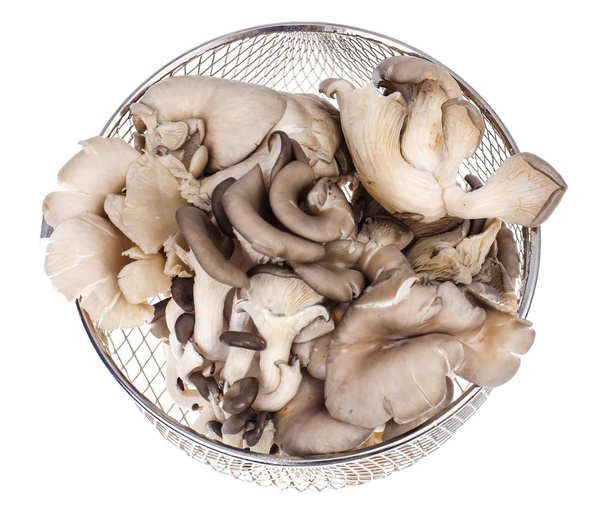 Cogumelos de ostra lavados
 - Foto, Imagem