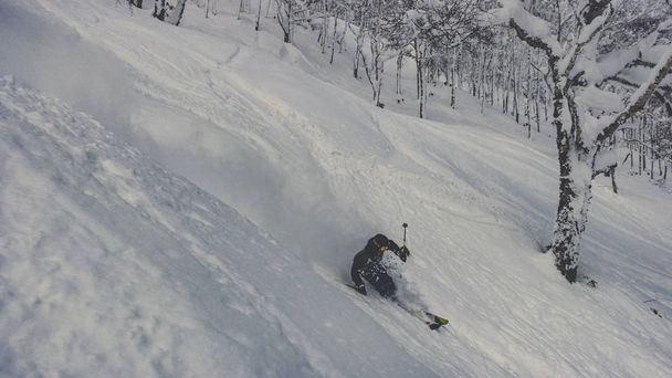Skier skiing deep powder in snowy forest - Foto, Bild