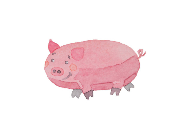 Happy piggy aquarelle dessinée sur un fond blanc
 - Photo, image