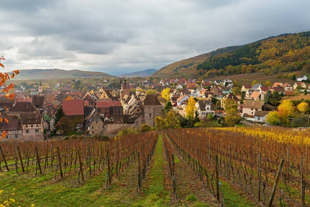 Veduta dei vigneti e del villaggio di Riquewihr dalla collina in autunno, Alsazia, Francia
 - Foto, immagini