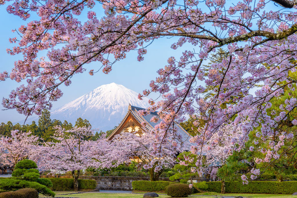Japonya'nın bahar - Fotoğraf, Görsel