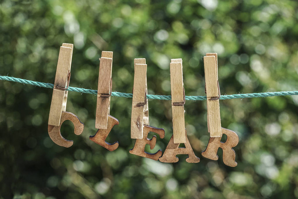 Duidelijke woord geschreven door meeloper houten letters op touw op tuin - Foto, afbeelding