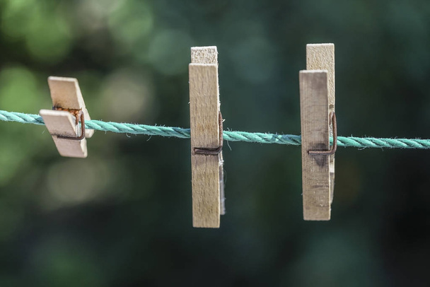 деревянные колышки на веревке в саду
 - Фото, изображение