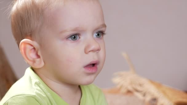 A cute little boy boy looks attentively at one point. Smiling and surprised at what he saw - Séquence, vidéo
