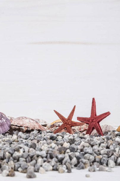 estrellas de mar de colores en la superficie de madera
 - Foto, imagen