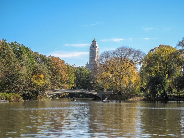 Vista do Central Park em Nova York
 - Foto, Imagem