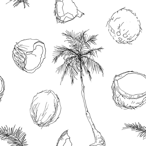 Coconut tree and fruits - Vector, Image