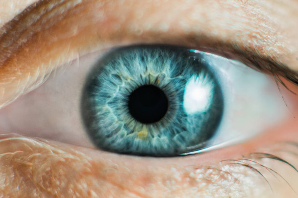 人間の女性目マクロ。女性灰色 - 日青い色の目のクローズ アップ ショット - 写真・画像