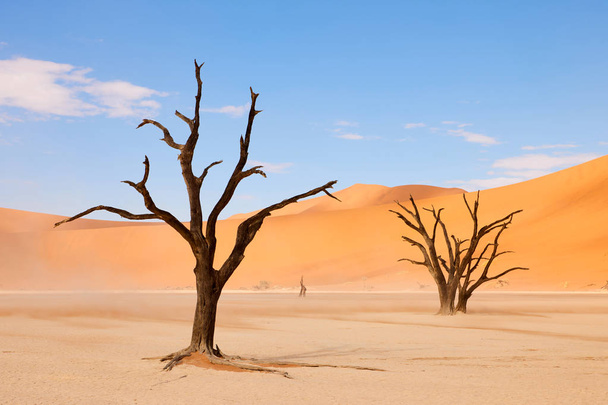 bela paisagem no deserto da Namíbia em Deadvlei - Foto, Imagem