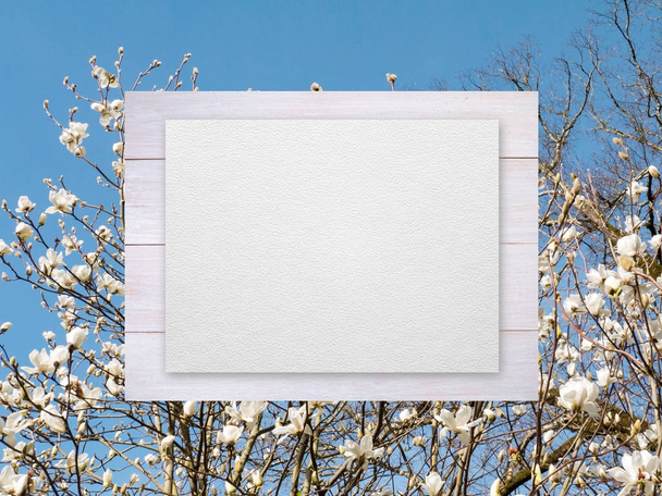 Używaj szorstkiego papieru na drewniane deski na wiosnę liczby magnolia - Zdjęcie, obraz